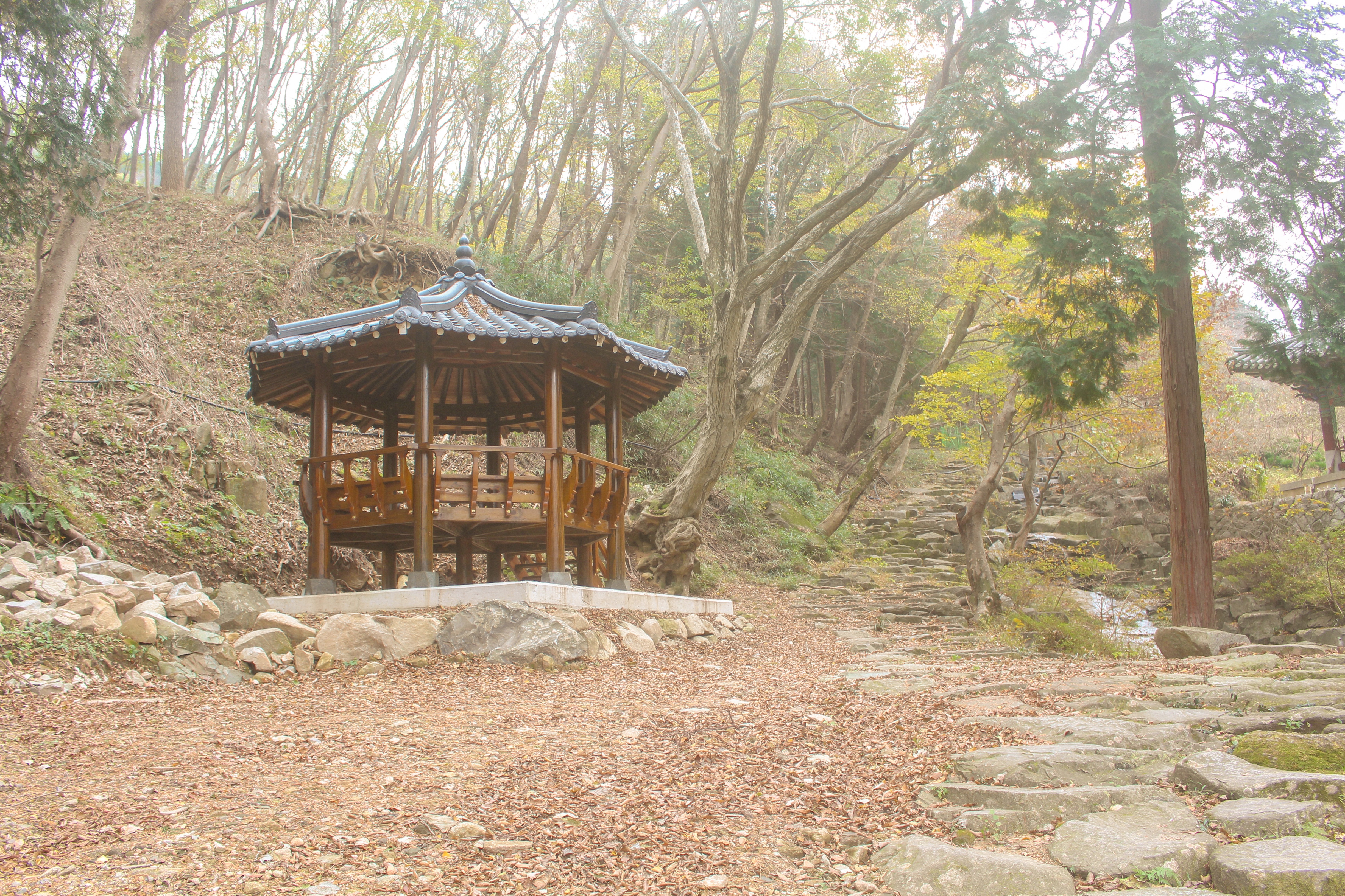 옥천사